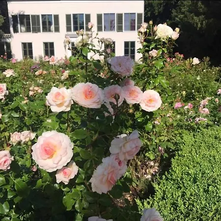 Bed and breakfast Elswoutshoek 4*