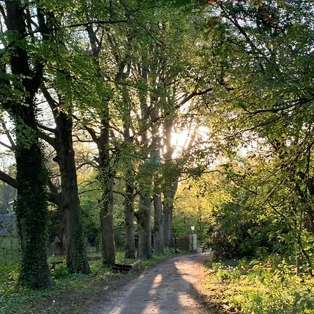 Elswoutshoek Alojamento de Acomodação e Pequeno-almoço Overveen