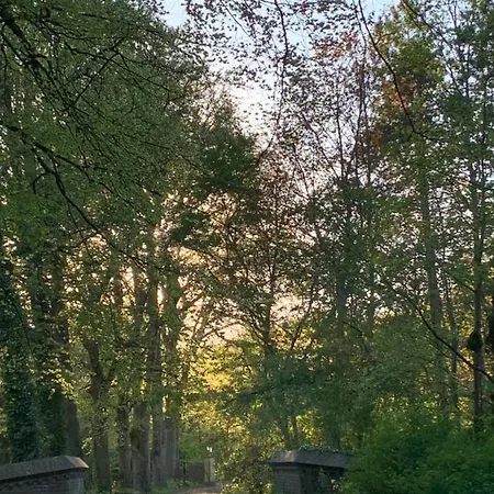Elswoutshoek