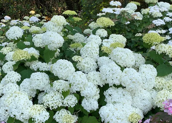 B&B Elswoutshoek 오베르빈