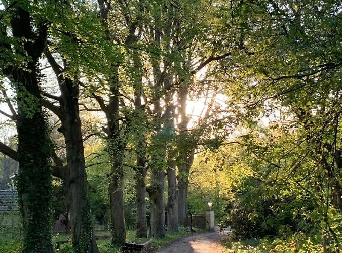 Elswoutshoek B&B 오베르빈